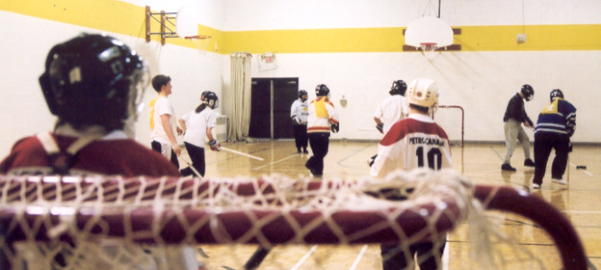 Veiw from behind the net